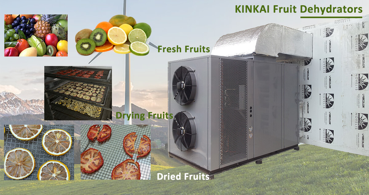 Industrial Heat Pump Fruit Drying Machine - Industrial Food Drying