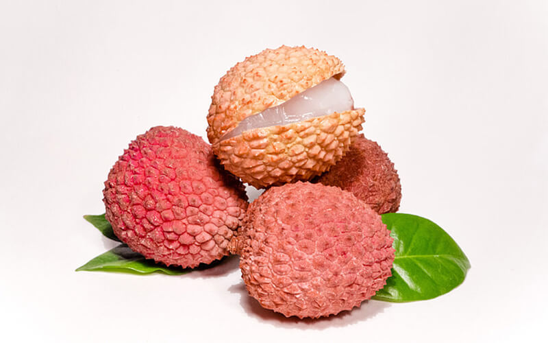 Lychee Drying Machine Lychee Drying Machine