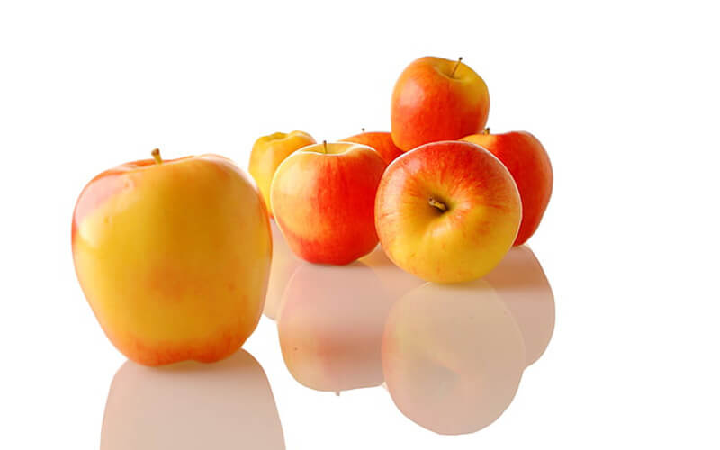 apple drying machine apple drying machine