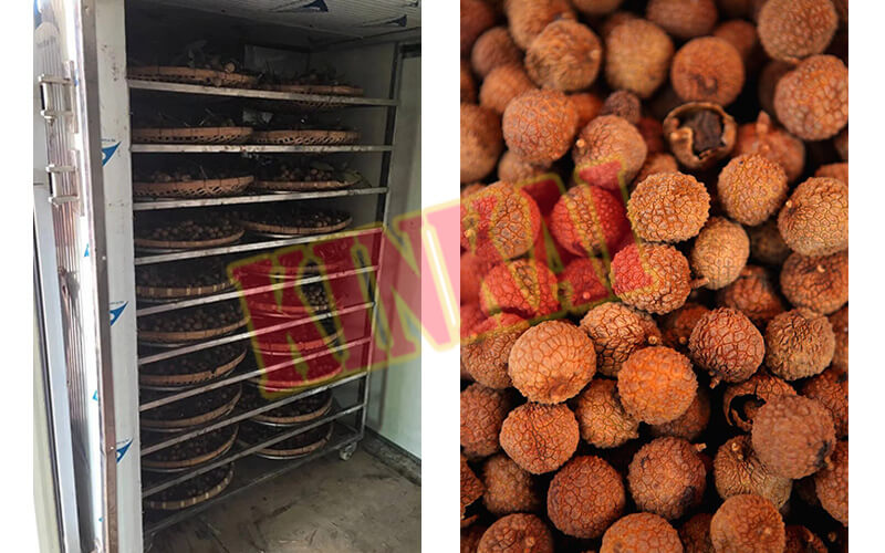 lychee drying machine