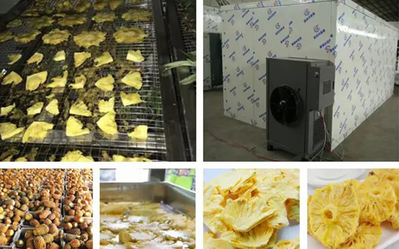 pineapple dryer machine