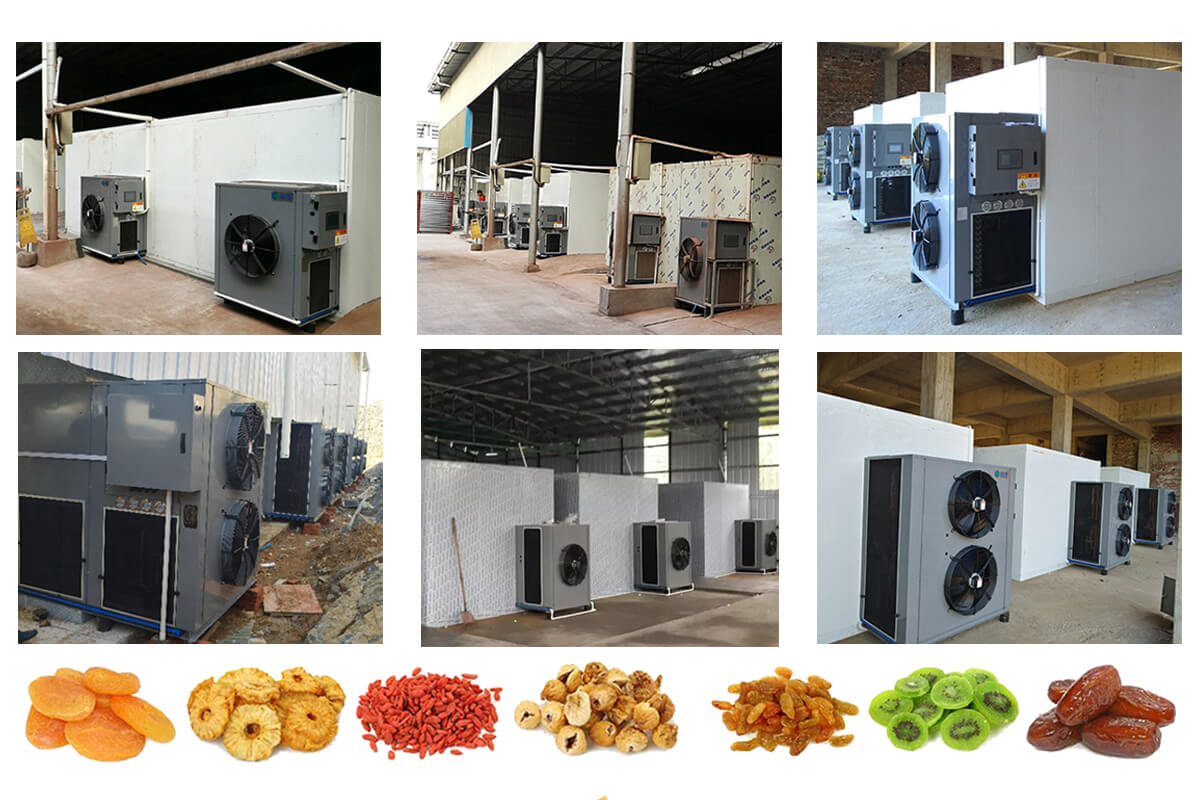 Wrh-100t Commercial Used Heat Pump Small Scale Fruit Vegetable