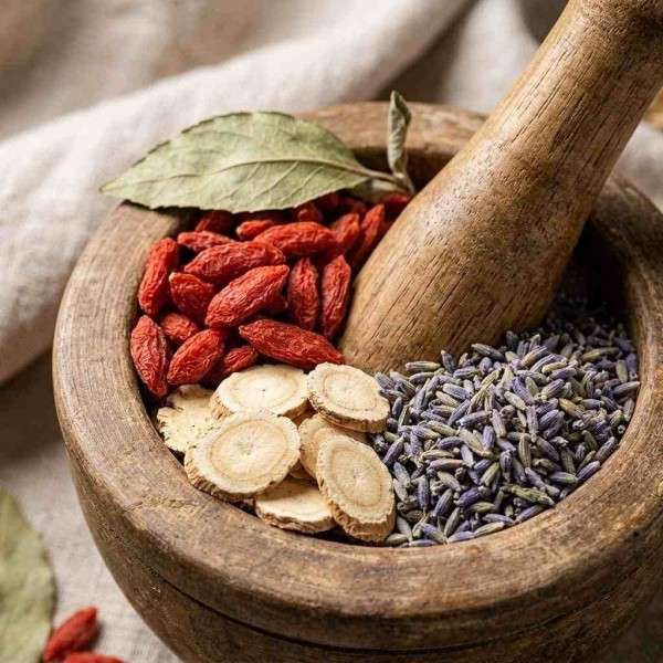 Herbs & Medicinal Plant Drying Herbs & Medicinal Plant Drying